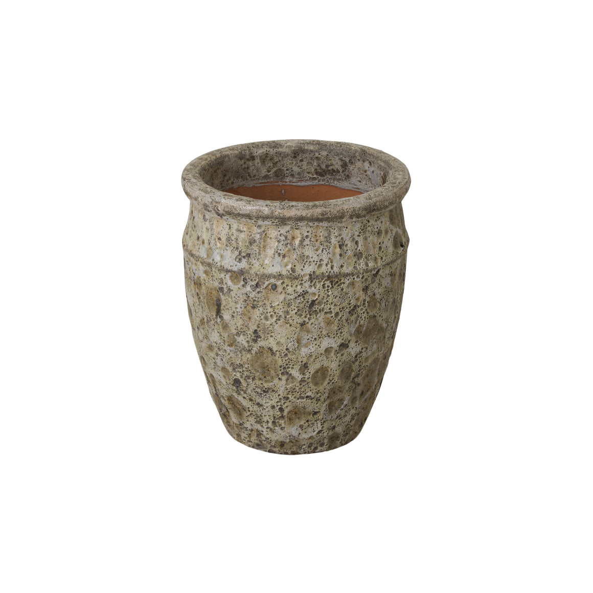 Small Reef Green Graphic Design Planter