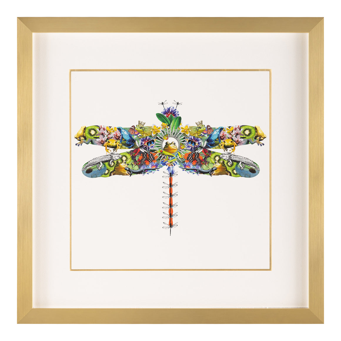 Amy Shaw's Fantasy World Collection: Dragonfly