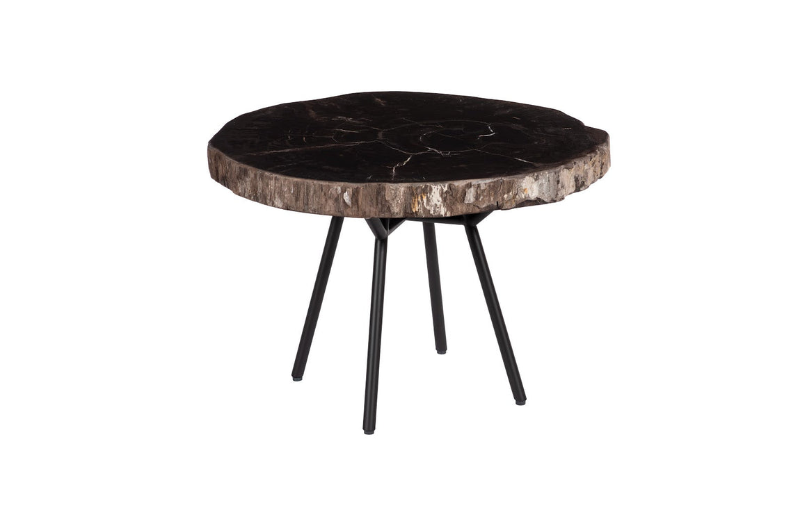 Petrified Coffee Table, Round, Metal Black Base