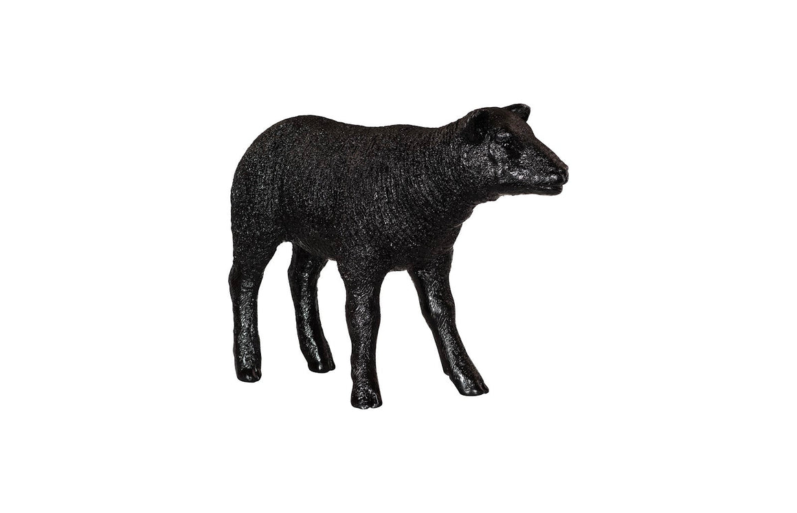 Texelaar Sheep, Lamb, Gel Coat Black