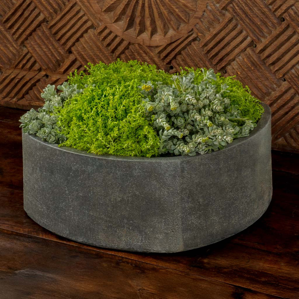 Rounded square stone planter with green plants against a wooden background