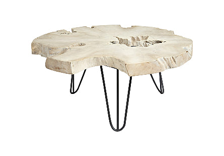 Bleached Slice Coffee Table, Iron Legs