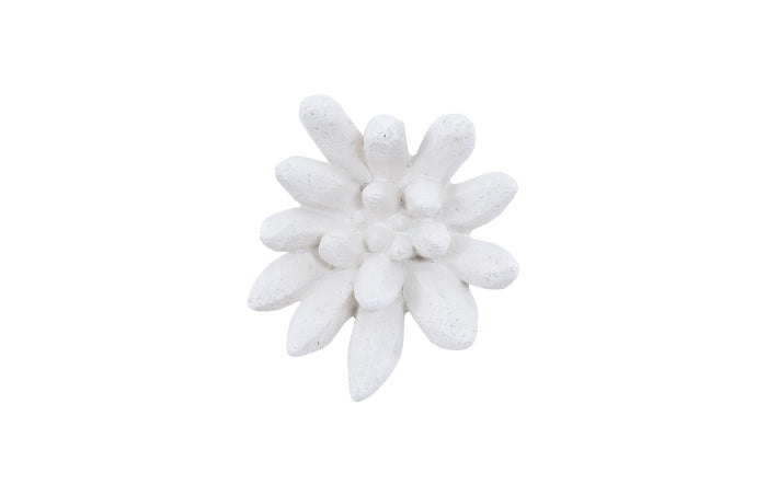 Compactum Succulent Wall Art, White Stone