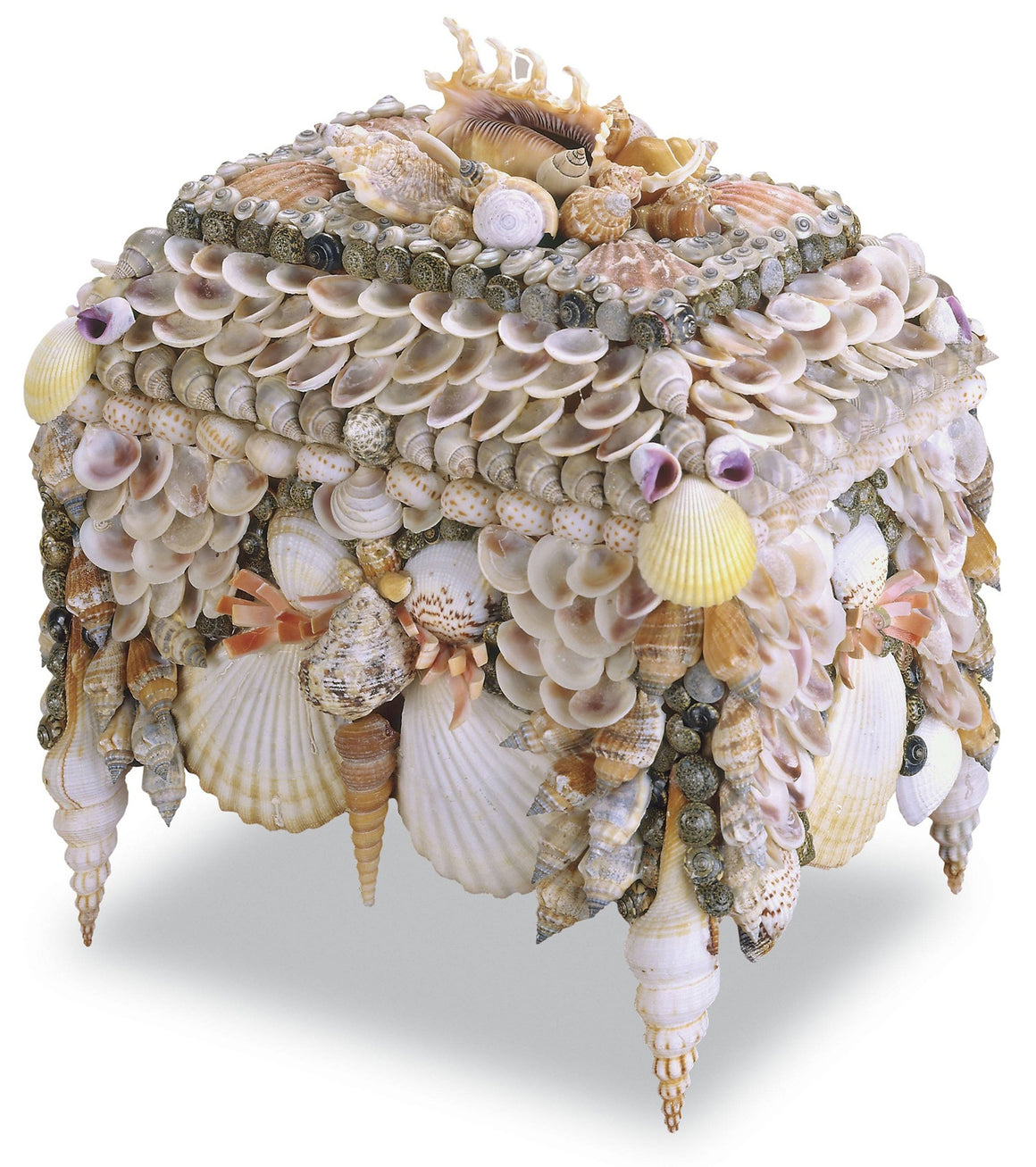Currey and Company Boardwalk Shell Jewelry Box
