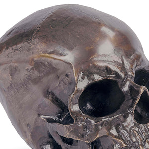 Regina Andrew Aluminum Decorative Skull - Bronze