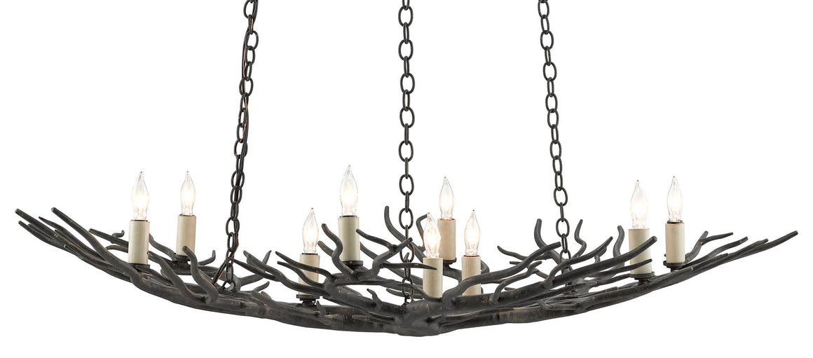 Currey and Company Rainforest Bronze Small Chandelier - Rustic Bronze