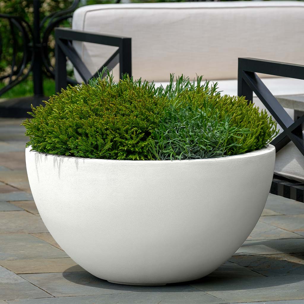 Medium Bowl Planter - Chalk Lite