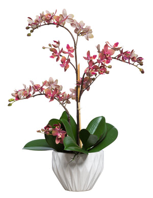 Deep Pink Silk Mini Orchid - White Faceted Pot