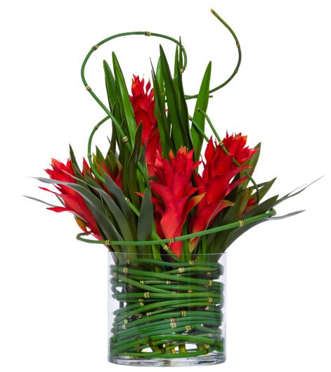 Silk Red Bromeliad & Ginger Arrangement