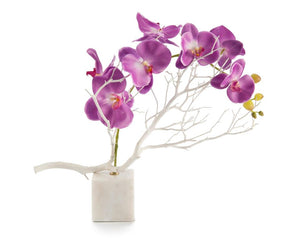 Marble Orchids