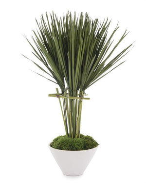 Palmetto Topiary