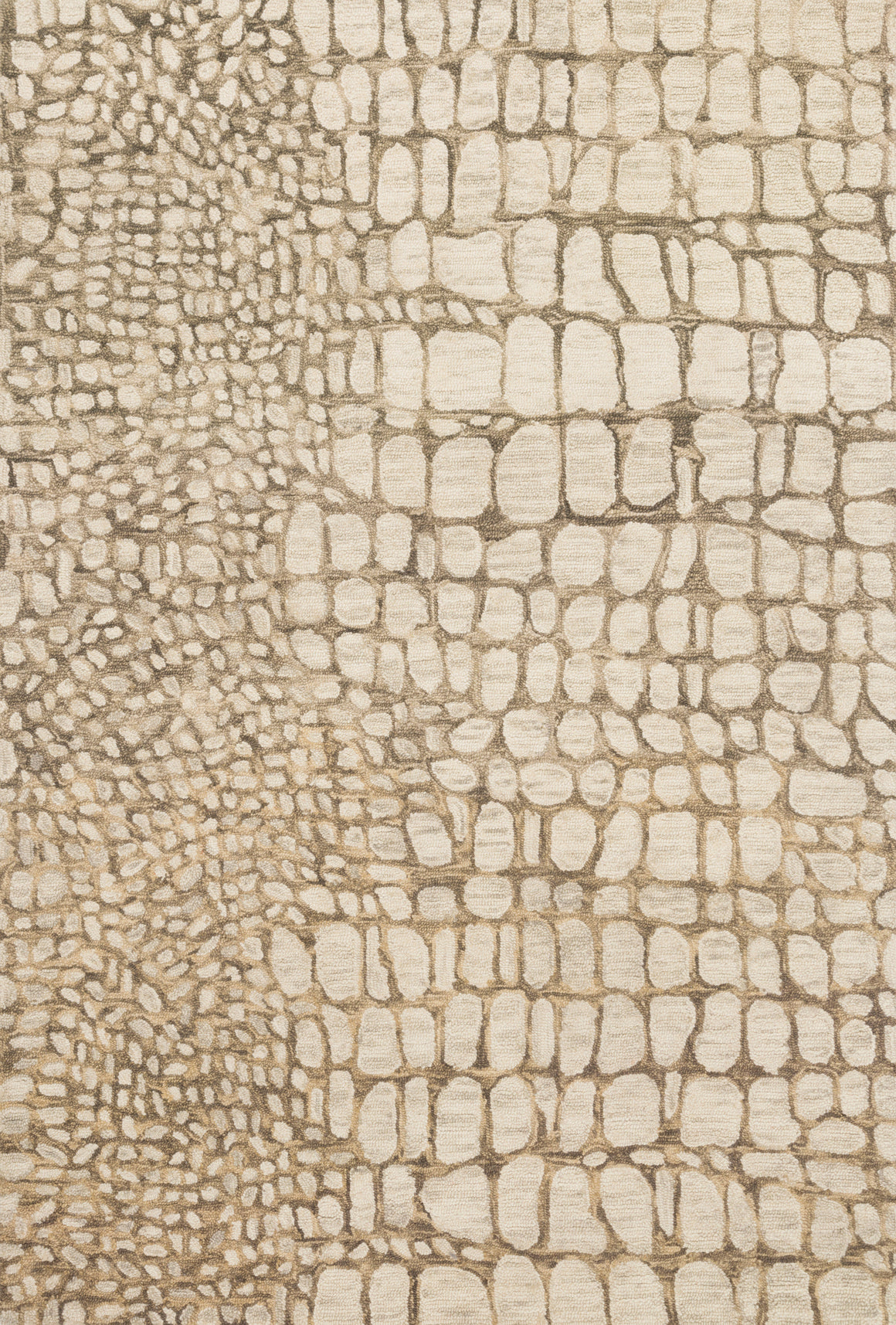 Loloi Masai MAS-03 Area Rug