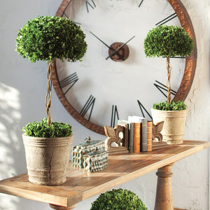 Faux Florals - Boxwood Topiary Tree In Mossy Pot