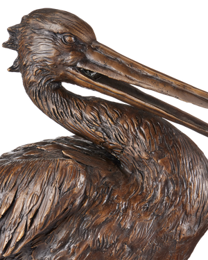 Pelican Bronze