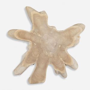 Uttermost Terrains Natural Wood Wall Decor
