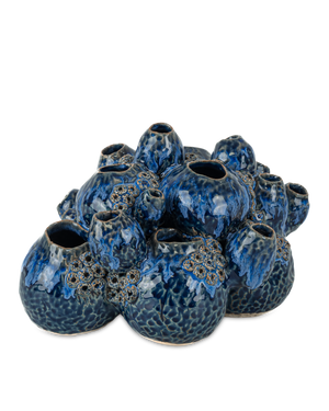 Sulawasi Blue Shells