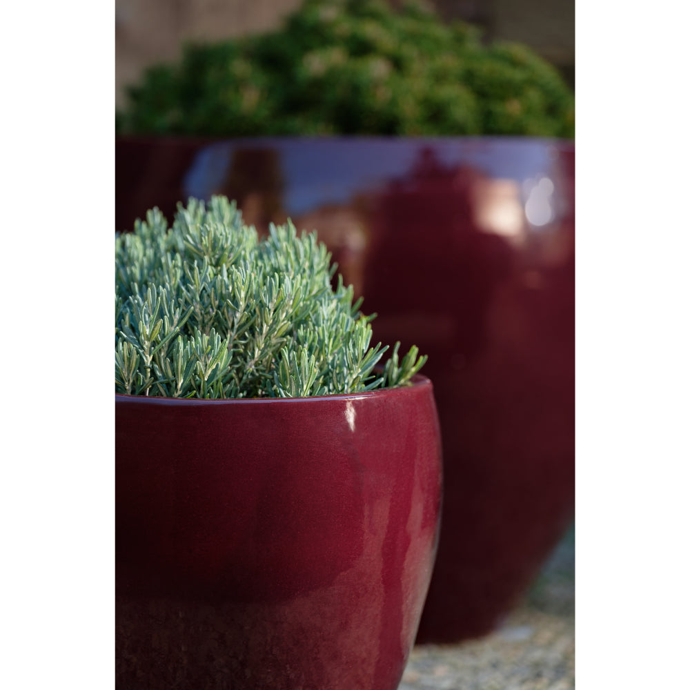 burgundy ceramic flower pots Plum Glazed Terra Cotta Barrel Planters - Set of 3