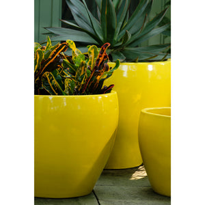 Limon Glazed Terra Cotta Barrel Planters - Set of 3