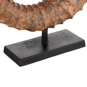 Faux Horn Set of 2