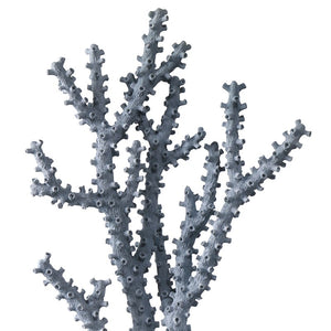 Blue Coral Set of 2