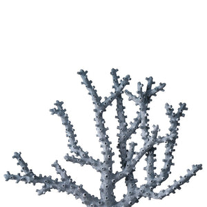 Blue Coral Set of 2