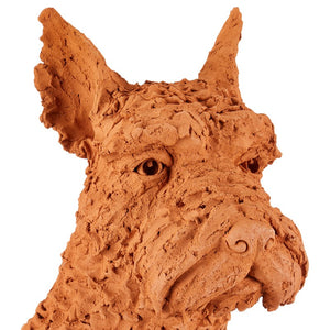 Oscar the Scottish Terrier