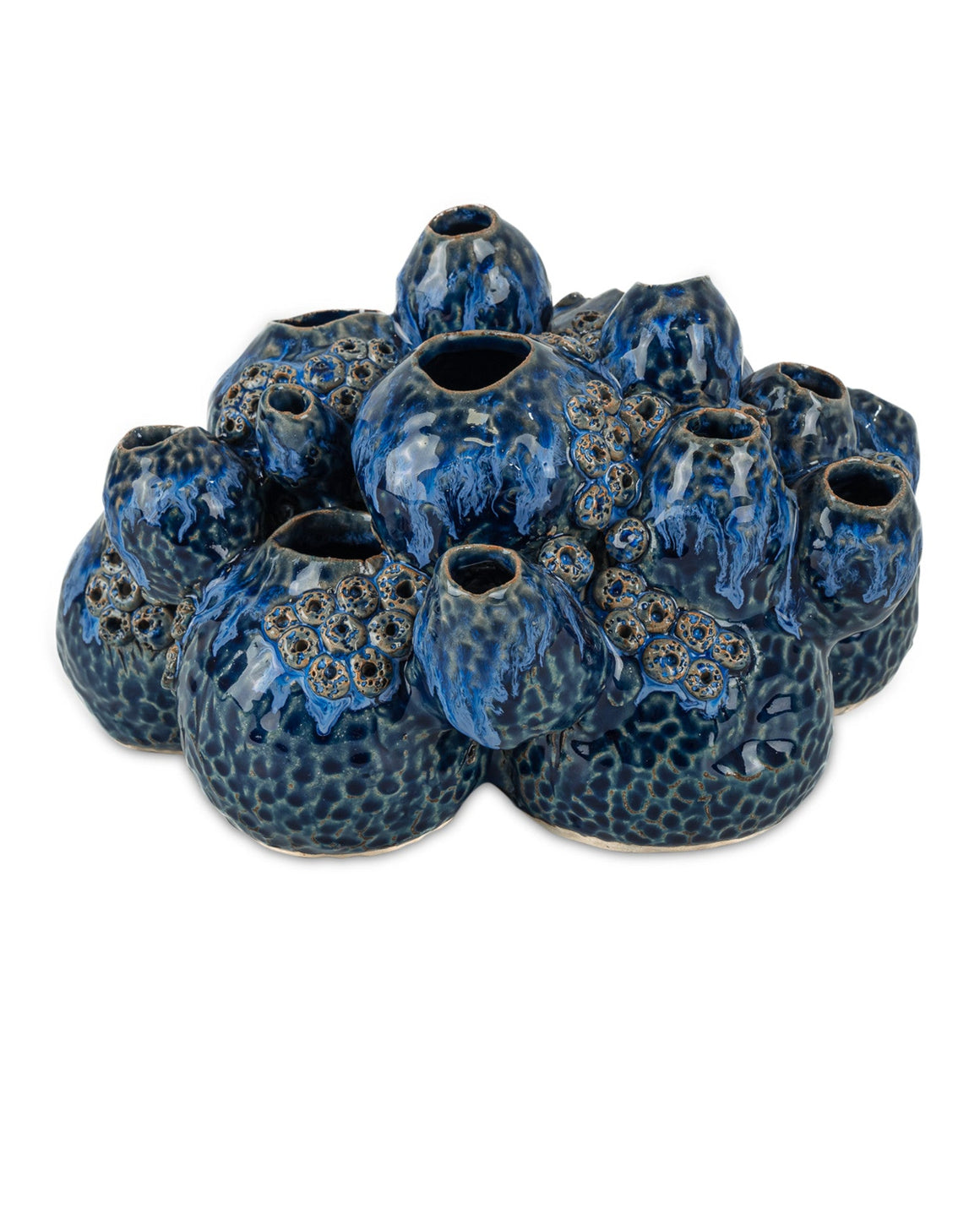 Sulawasi Blue Shells