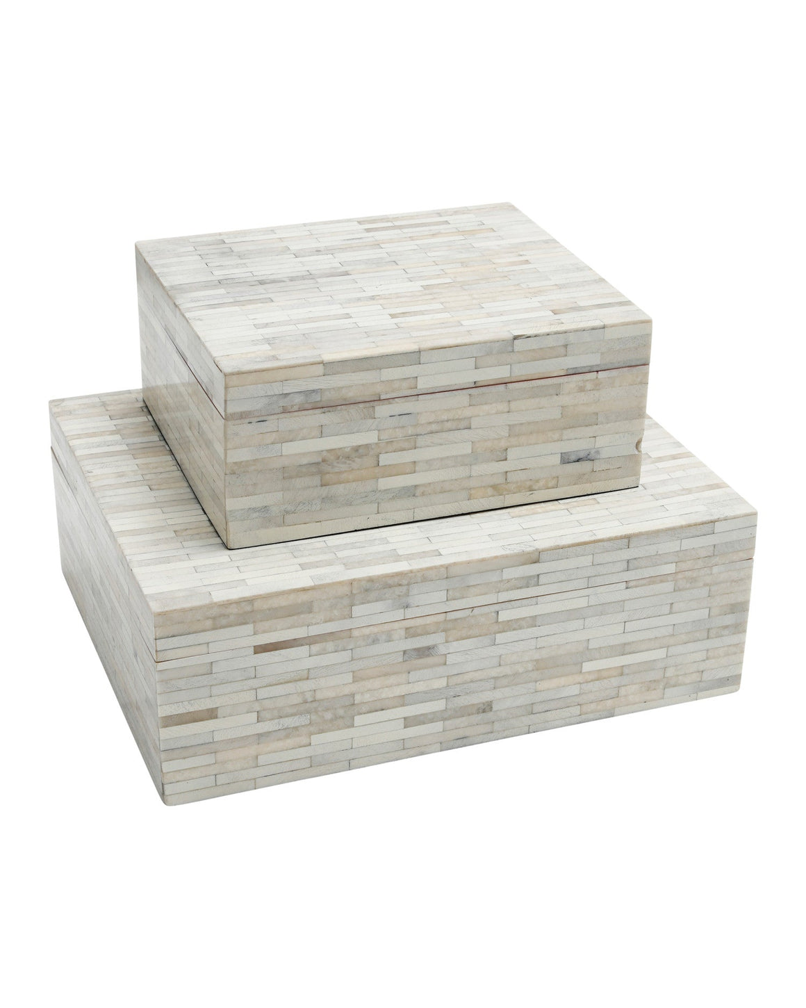 Prothero Box Set of 2