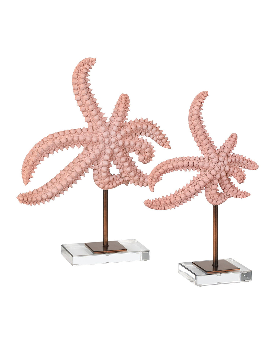 Starfish Set of 2