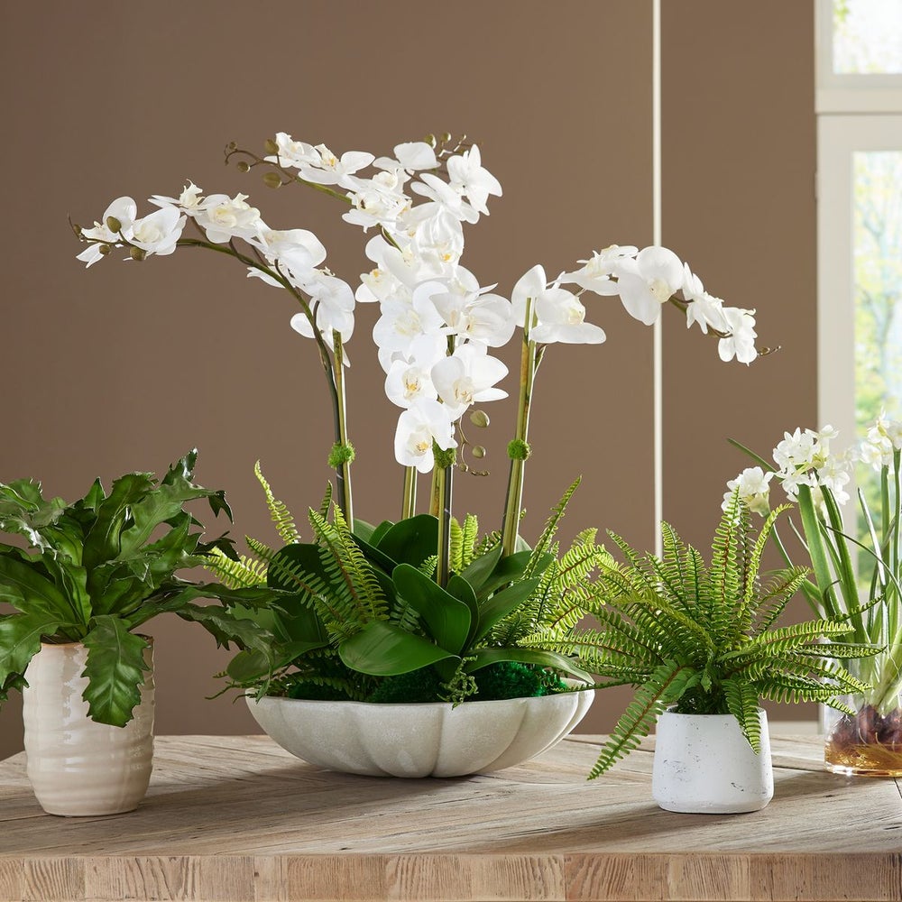 orchid succulent centerpiece Uttermost Flourish Orchid Centerpiece