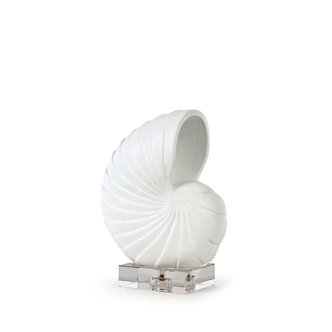 Nautilus Shell Small (White)