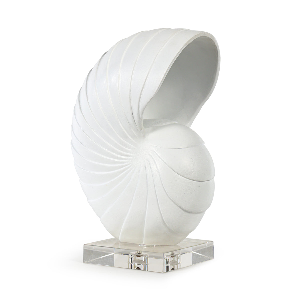 Nautilus Shell Large (White)