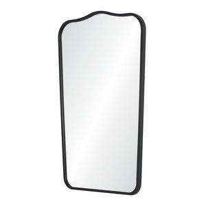 Stainless Black Nickel Steel Mirror