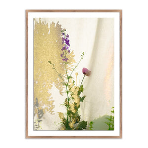 Playscapes, No. 02 By Fountain Grass Stu
