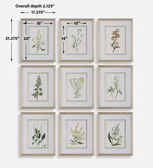 Uttermost Botanical Flowers Framed Prints, S/9