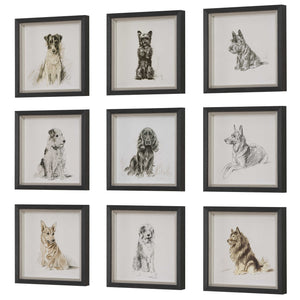 Uttermost Loyal Companion Framed Dog Prints, S/9