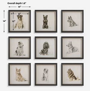 Uttermost Loyal Companion Framed Dog Prints, S/9
