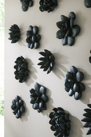 Compactum Succulent Wall Art , Smooth Matte Black