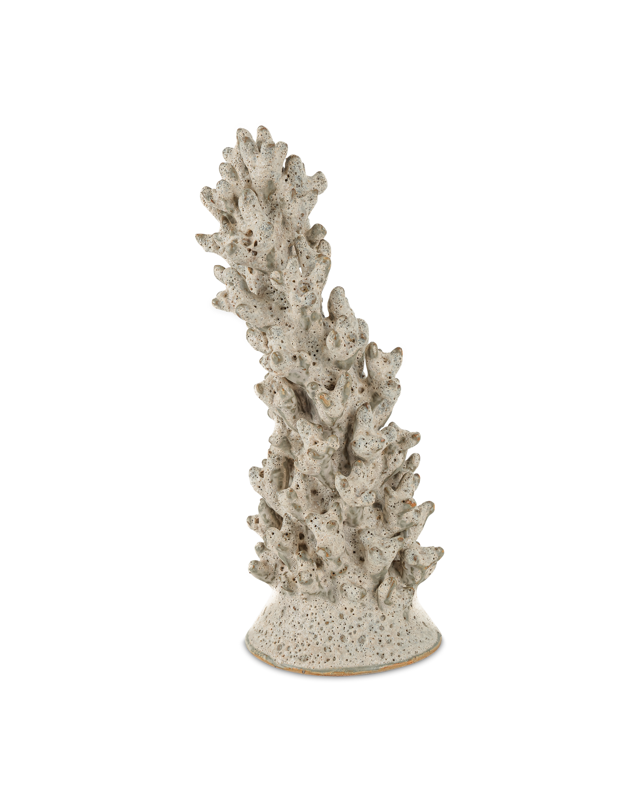 Staghorn White Coral Object