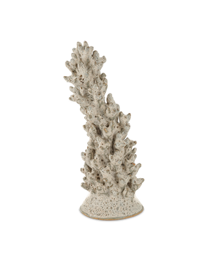 Staghorn White Coral Object