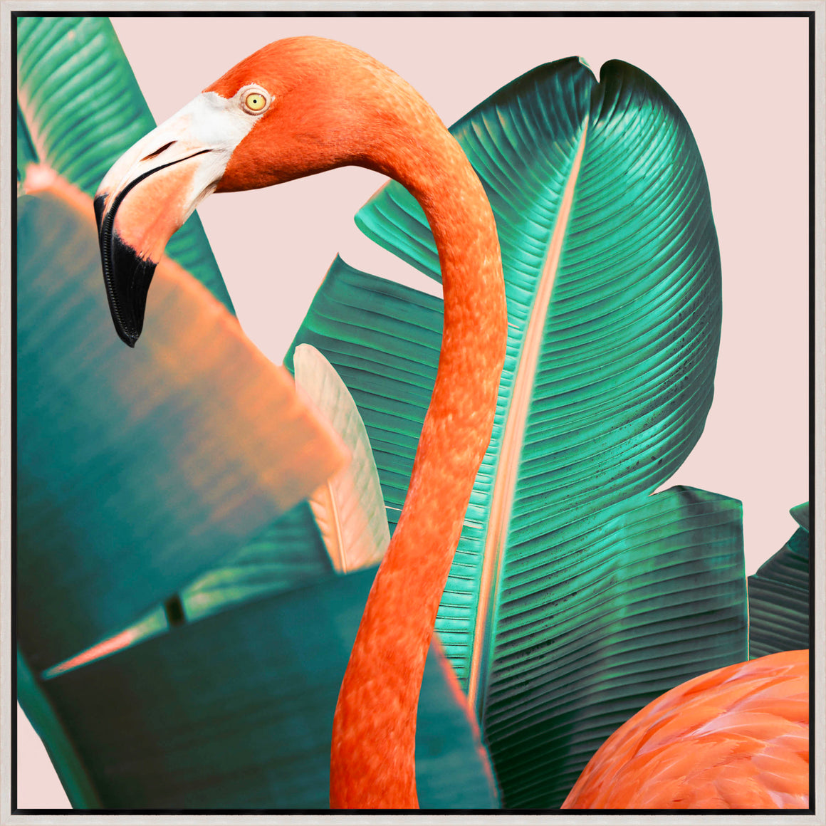Tropical Tales #1 by Alicia Bock - 40" x 40" Framed
