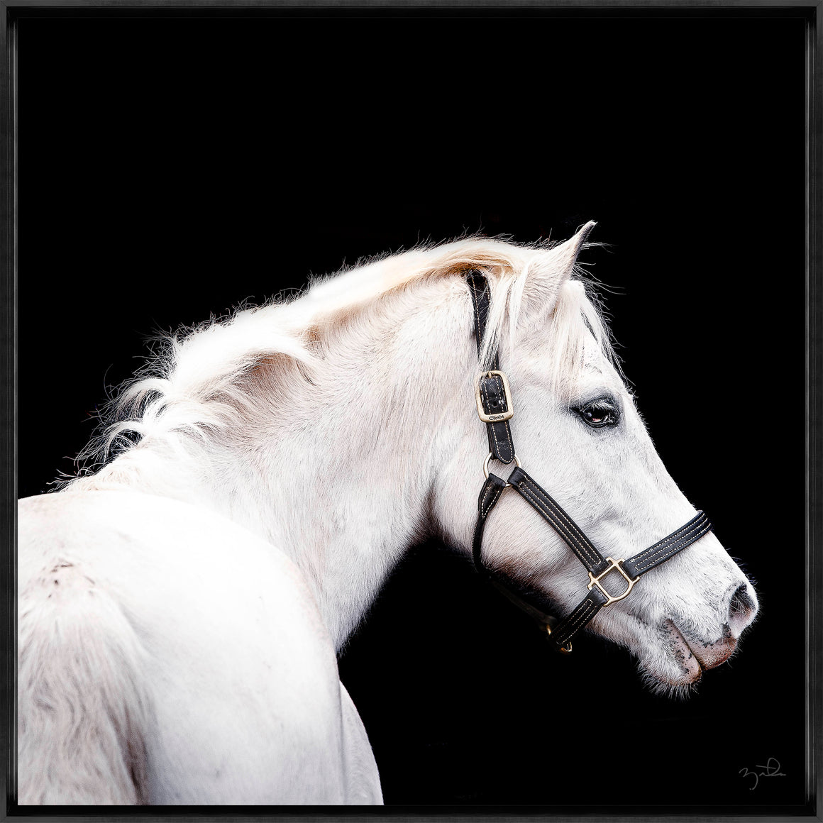 Call Back by Brandon Luther – Southern Bit - 30" x 30" Framed