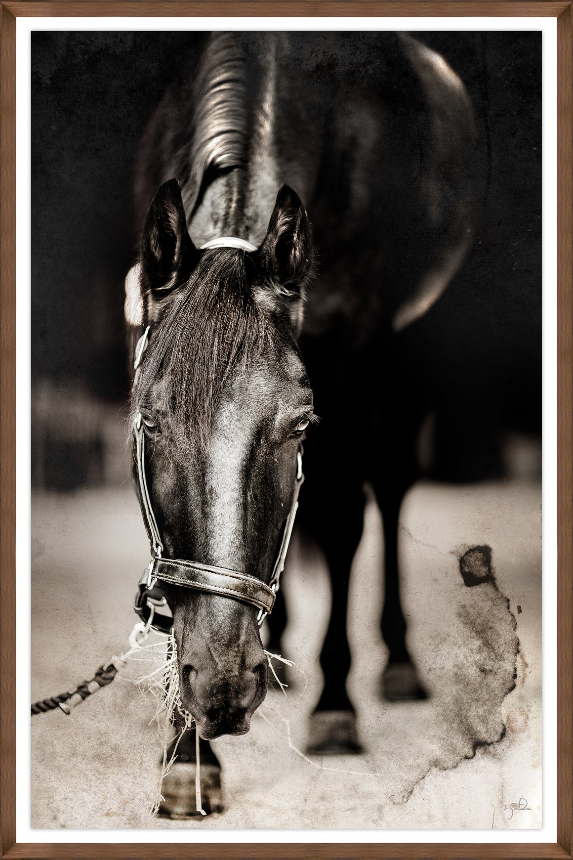 Blue's Second Tour by Brandon Luther – Southern Bit - 30" x 45" Framed