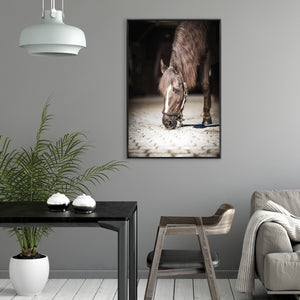 Pied Piper by Brandon Luther – Southern Bit - 30" x 45" Framed