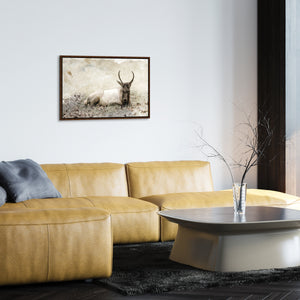 Restful Morning by Brandon Luther – Southern Bit - 36" x 24" Framed