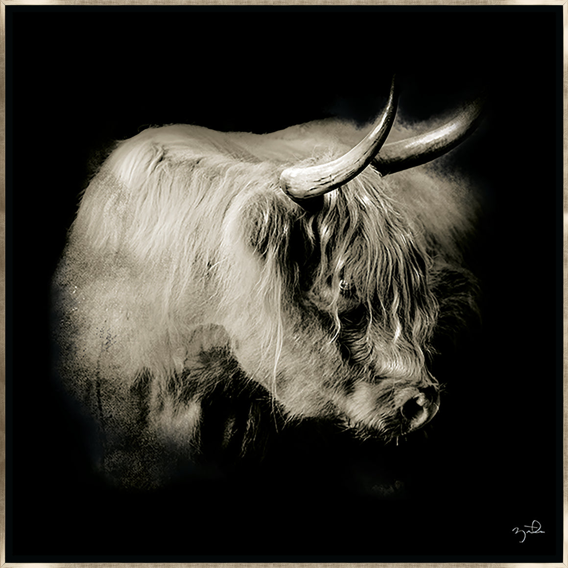Nellie in Black by Brandon Luther – Southern Bit - 30" x 30" Framed