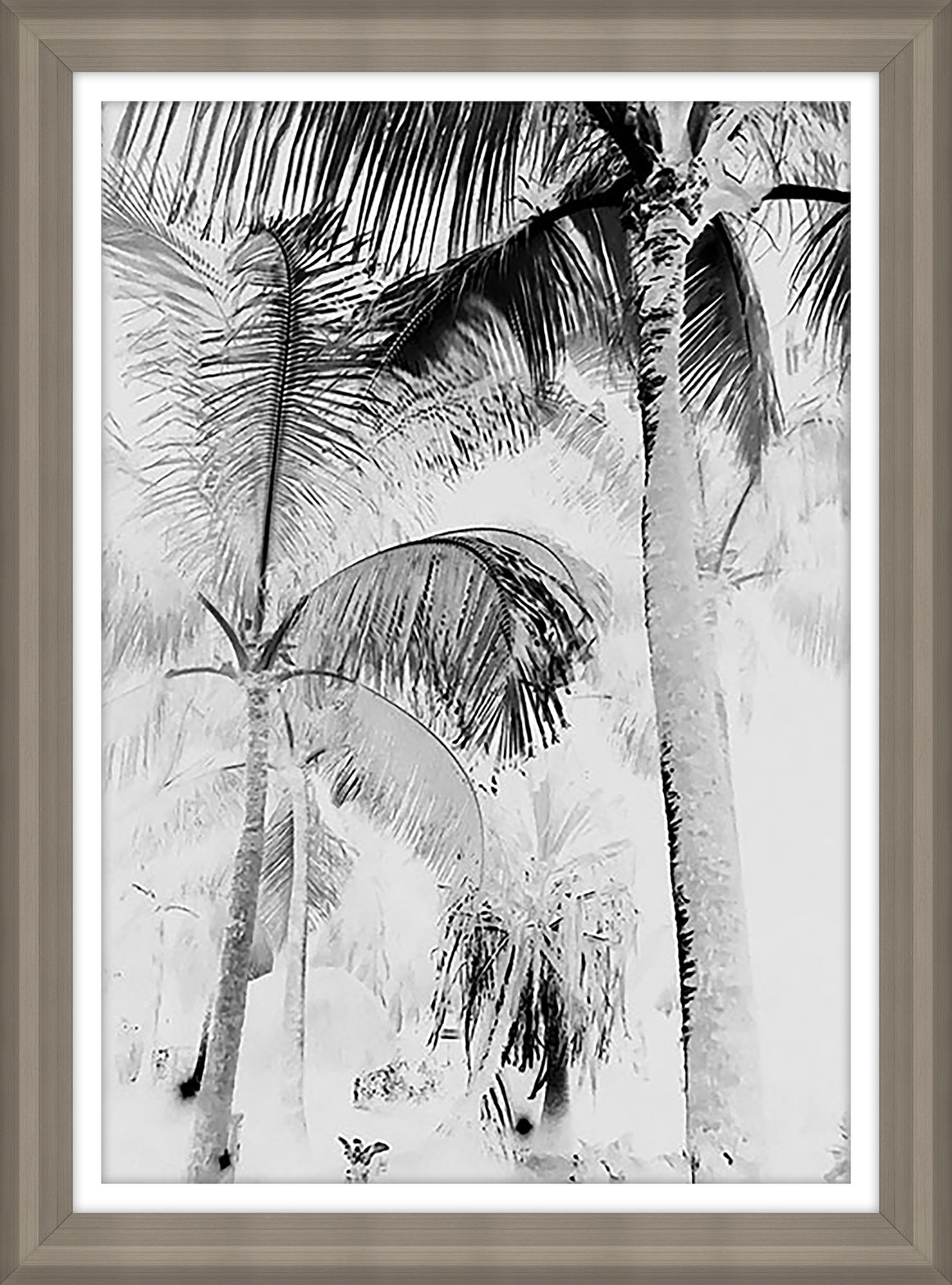 Tropical in Wonderland I by Danielle Davis - 20" x 27" Framed