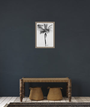 Tropical in Wonderland VII by Danielle Davis - 20" x 27" Framed
