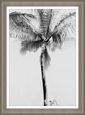 Tropical in Wonderland VII by Danielle Davis - 20" x 27" Framed