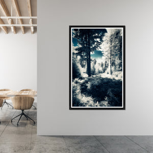 Spring Winter by Elinoz Sabus - 40" x 60" Framed